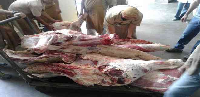 Iahula recibió 407 kilos de carne para alimentación de pacientes