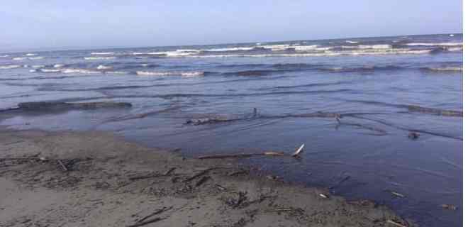 Anuncian recuperación de costas venezolanas afectadas por derrame de petróleo