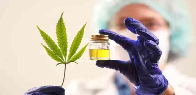 Perú aprueba reglamento que regula uso medicinal del cannabis