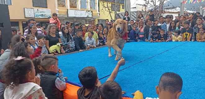 Alcalde Jesús Araque realizó con éxito Festival de Mascotas