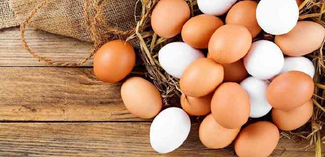 FAO: Carne, huevos y leche son nutrientes esenciales en una dieta sana