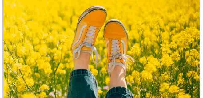 Por qué se celebra el #21Sep el Día de las flores amarillas