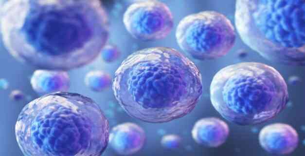 Un ensayo con células madre, prometedor contra la esclerósis múltiple