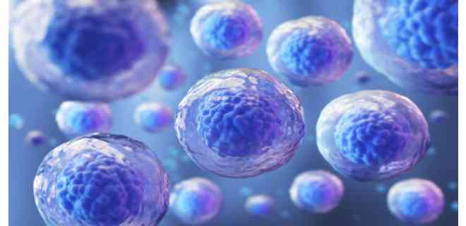 Un ensayo con células madre, prometedor contra la esclerósis múltiple
