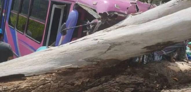 10 pasajeros lesionados dejó caída de árbol sobre un autobús en Mérida