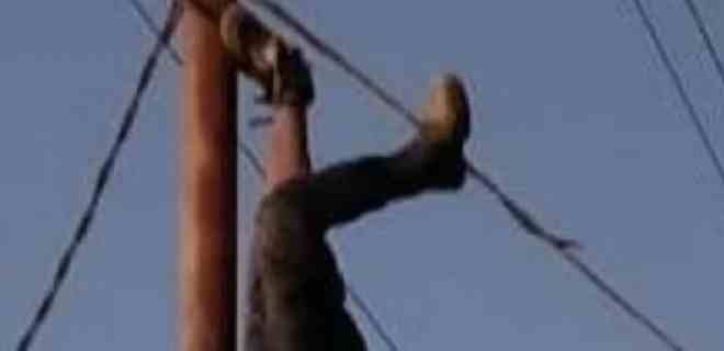 Muere electrocutado ladrón de cables de alta tensión