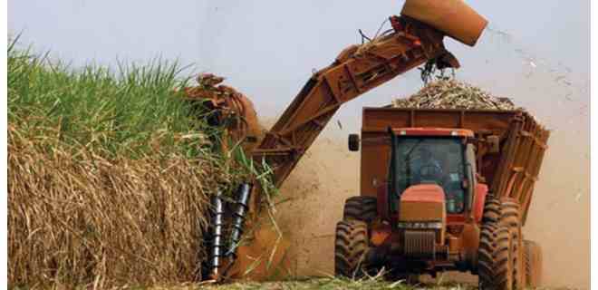 Fedeagro pide mantener exoneración de impuestos en el sector agropecuario
